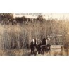 Rare collectable postcards of Canada. Vintage Postcards of Canada