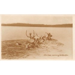 Rare collectable postcards of Canada. Vintage Postcards of Canada