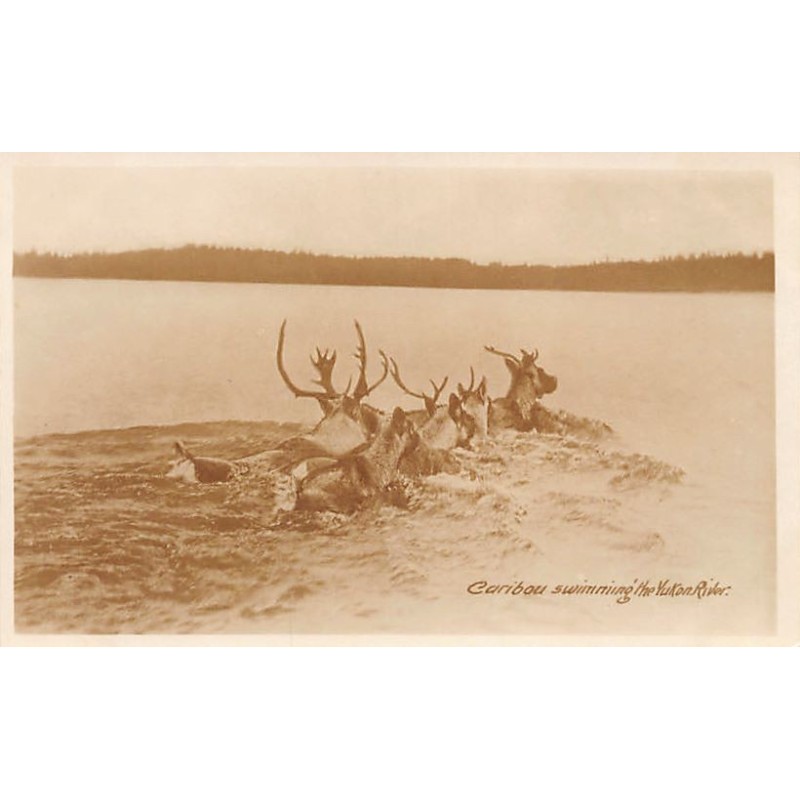 Rare collectable postcards of Canada. Vintage Postcards of Canada
