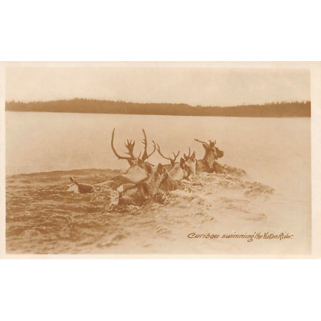Rare collectable postcards of Canada. Vintage Postcards of Canada