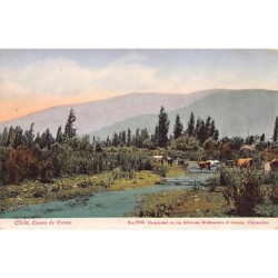 Rare collectable postcards of Chile. Vintage Postcards of Chile
