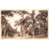 Rare collectable postcards of Panama. Vintage Postcards of Panama