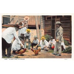 Rare collectable postcards of Panama. Vintage Postcards of Panama