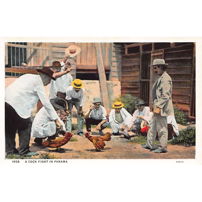 Rare collectable postcards of Panama. Vintage Postcards of Panama