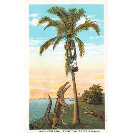 Rare collectable postcards of Panama. Vintage Postcards of Panama