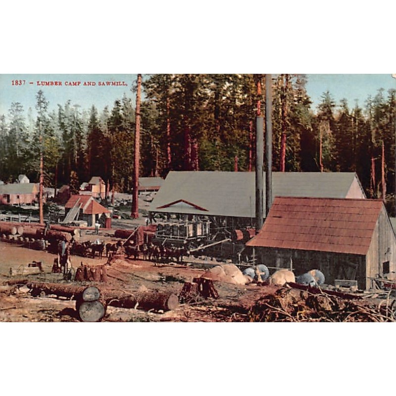 Rare collectable postcards of United States. Vintage Postcards of United States