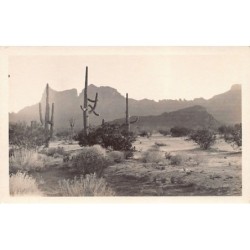 Rare collectable postcards of United States. Vintage Postcards of United States