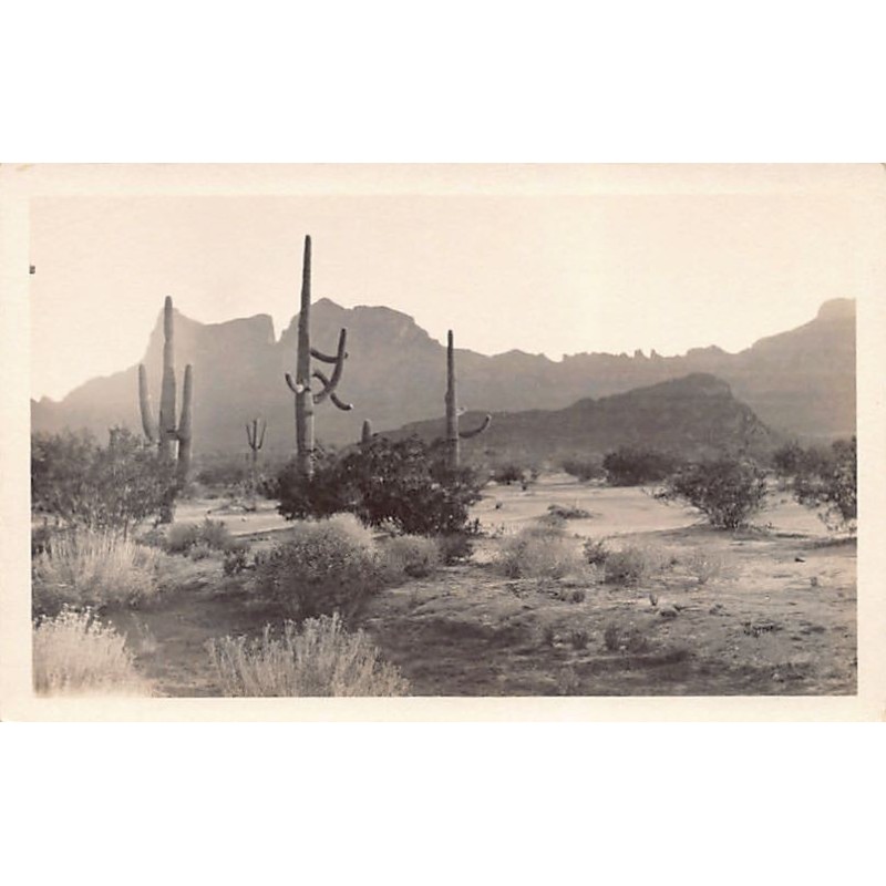Rare collectable postcards of United States. Vintage Postcards of United States