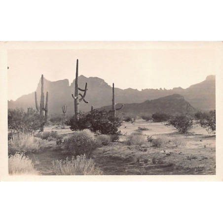 Rare collectable postcards of United States. Vintage Postcards of United States