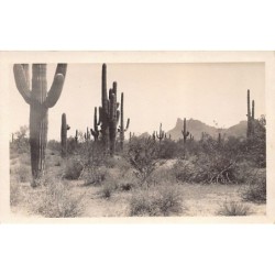 Rare collectable postcards of United States. Vintage Postcards of United States