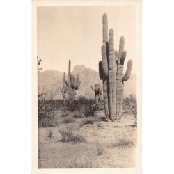 Rare collectable postcards of United States. Vintage Postcards of United States