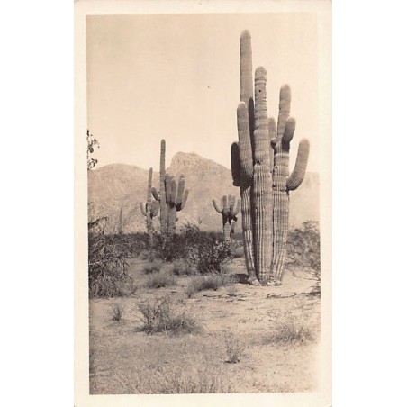 Rare collectable postcards of United States. Vintage Postcards of United States