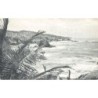 Rare collectable postcards of Trinidad & Tobago. Vintage Postcards of Trinidad & Tobago