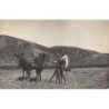 Rare collectable postcards of Albania. Vintage Postcards of Albania