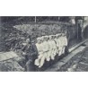 Rare collectable postcards of Austria. Vintage Postcards of Austria