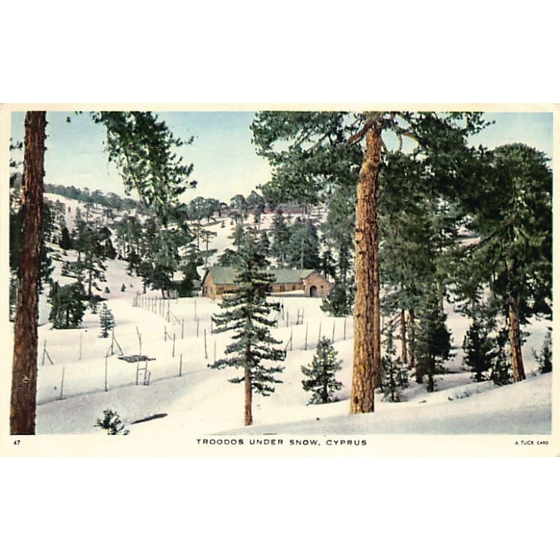 Rare collectable postcards of Cyprus. Vintage Postcards of Cyprus