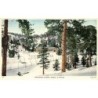 Rare collectable postcards of Cyprus. Vintage Postcards of Cyprus