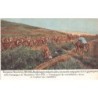 Rare collectable postcards of Greece. Vintage Postcards of Greece