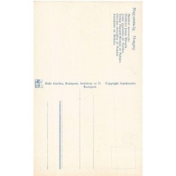 Rare collectable postcards of Hungary. Vintage Postcards of Hungary