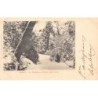 Rare collectable postcards of Italy. Vintage Postcards of Italy