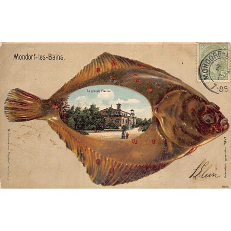 Rare collectable postcards of Luxembourg. Vintage Postcards of Luxembourg