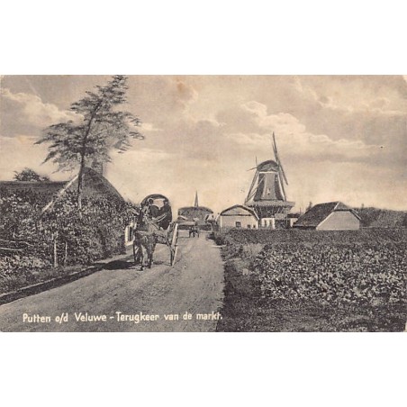 Rare collectable postcards of Netherlands. Vintage Postcards of Netherlands