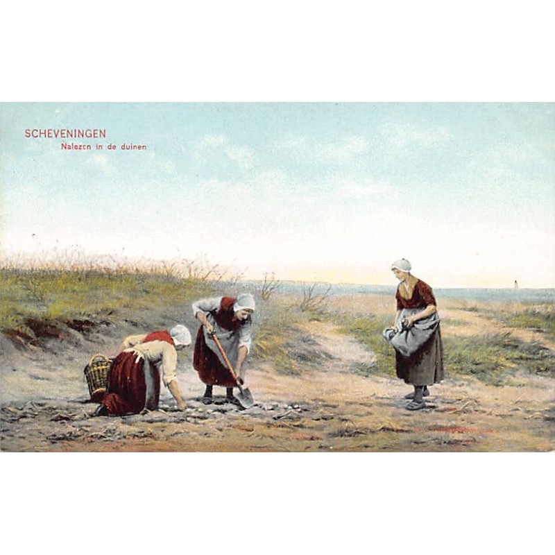 Rare collectable postcards of Netherlands. Vintage Postcards of Netherlands