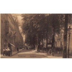 Rare collectable postcards of Netherlands. Vintage Postcards of Netherlands