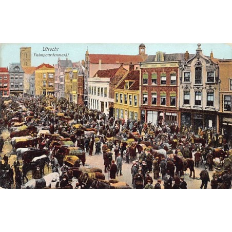 Rare collectable postcards of Netherlands. Vintage Postcards of Netherlands