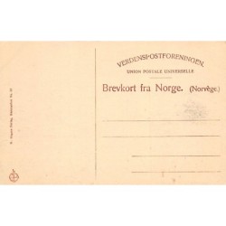 Rare collectable postcards of Norway. Vintage Postcards of Norway