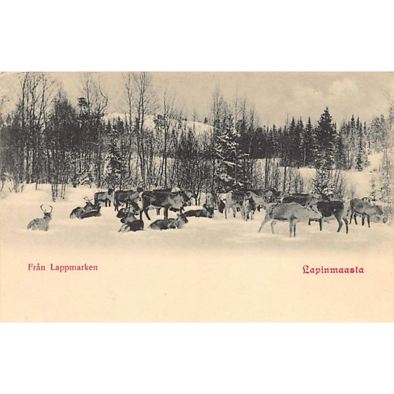 Rare collectable postcards of Norway. Vintage Postcards of Norway