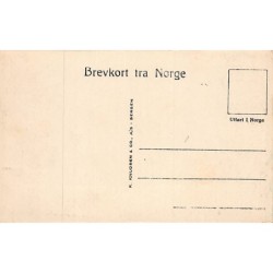 Rare collectable postcards of Norway. Vintage Postcards of Norway