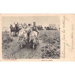 Rare collectable postcards of Poland. Vintage Postcards of Poland