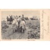 Rare collectable postcards of Poland. Vintage Postcards of Poland