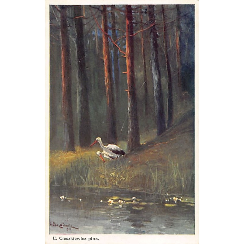 Rare collectable postcards of Poland. Vintage Postcards of Poland