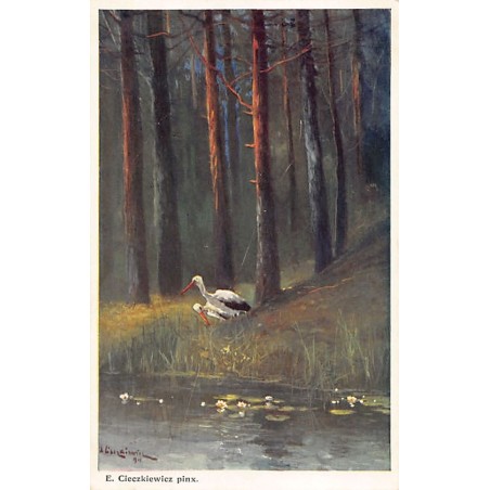 Rare collectable postcards of Poland. Vintage Postcards of Poland