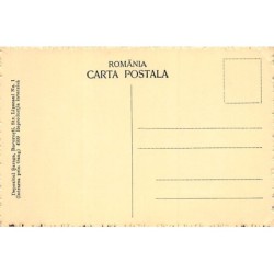 Rare collectable postcards of Romania. Vintage Postcards of Romania