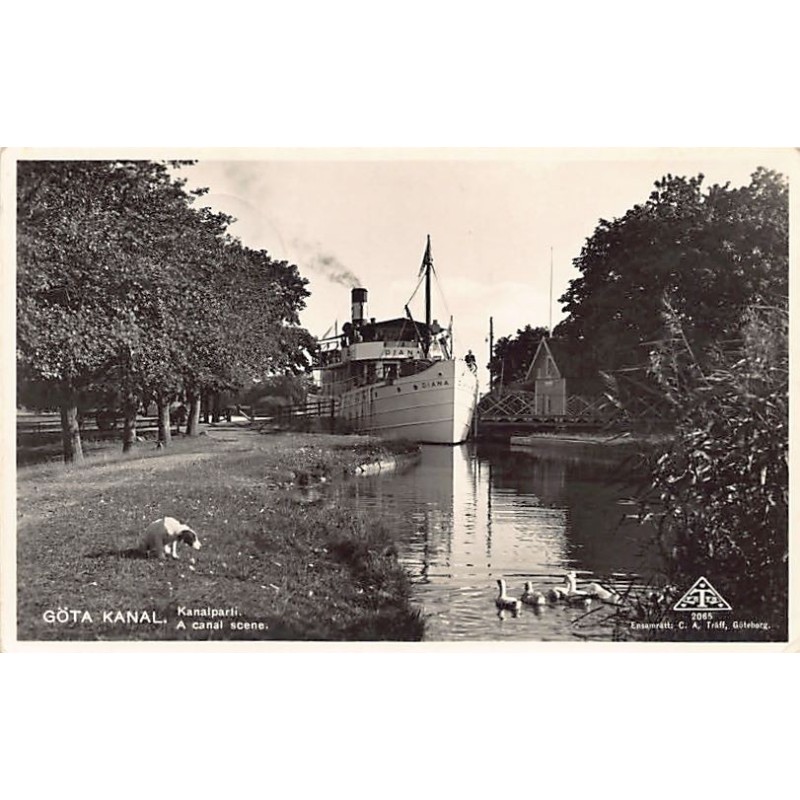 Rare collectable postcards of Sweden. Vintage Postcards of Sweden