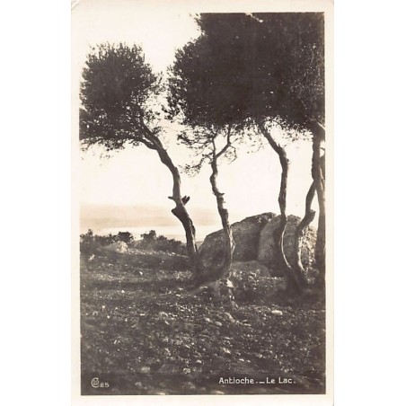 Rare collectable postcards of Turkey. Vintage Postcards of Turkey