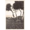 Rare collectable postcards of Turkey. Vintage Postcards of Turkey