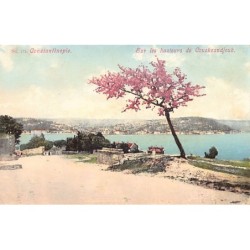 Rare collectable postcards of Turkey. Vintage Postcards of Turkey