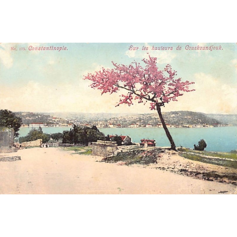 Rare collectable postcards of Turkey. Vintage Postcards of Turkey