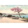 Rare collectable postcards of Turkey. Vintage Postcards of Turkey