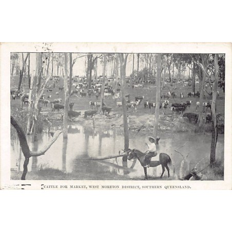 Rare collectable postcards of Australia. Vintage Postcards of Australia
