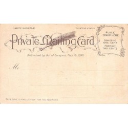 Rare collectable postcards of Hawaii. Vintage Postcards of Hawaii