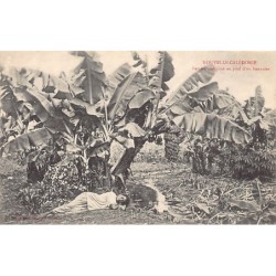 Rare collectable postcards of New Caledonia. Vintage Postcards of New Caledonia