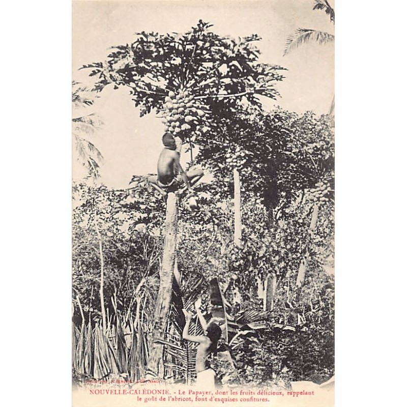 Rare collectable postcards of New Caledonia. Vintage Postcards of New Caledonia
