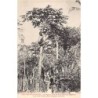 Rare collectable postcards of New Caledonia. Vintage Postcards of New Caledonia