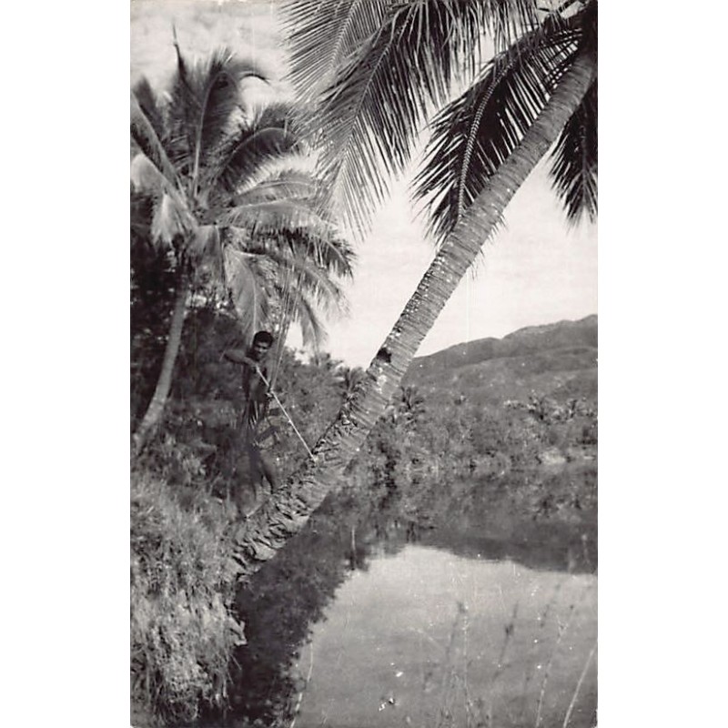 Rare collectable postcards of New Caledonia. Vintage Postcards of New Caledonia
