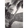Rare collectable postcards of New Caledonia. Vintage Postcards of New Caledonia